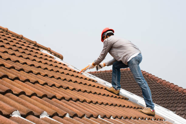 Best Asphalt Shingles Roofing  in Karns, TN