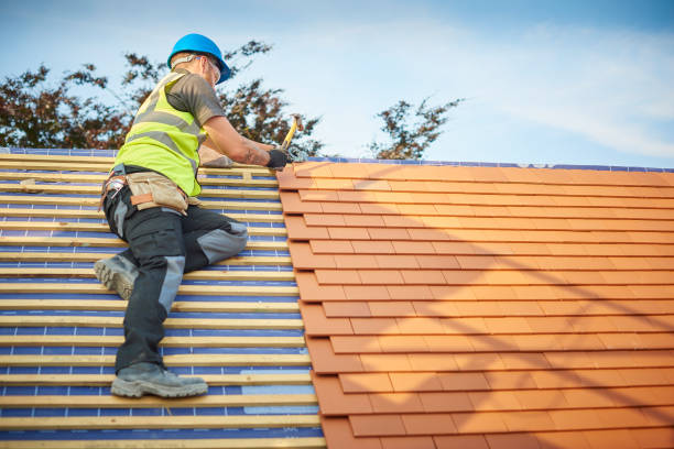 Best Storm Damage Roof Repair  in Karns, TN