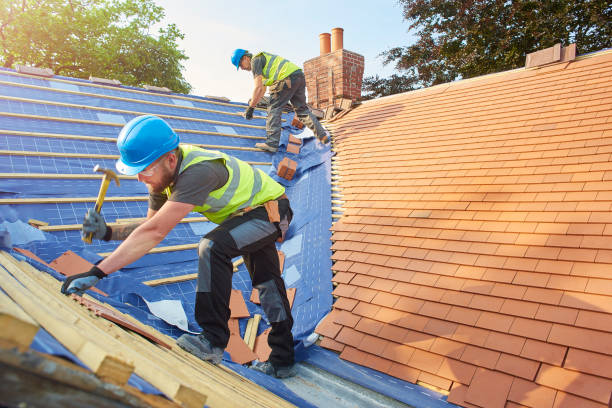 Best Roof Maintenance and Cleaning  in Karns, TN